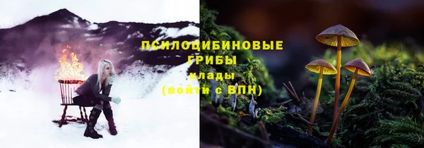 MESCALINE Гусь-Хрустальный