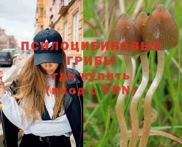 гашишное масло Гусев