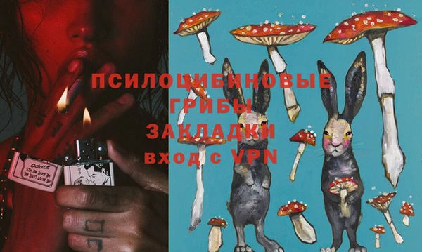 эйфоретик Гусиноозёрск