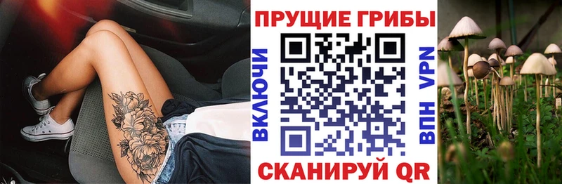 Галлюциногенные грибы Psilocybe  Купить  Сарапул 